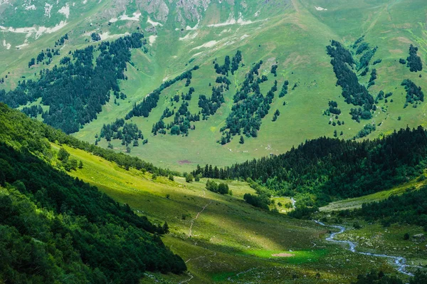 Arkhyz güzel yaz manzarada