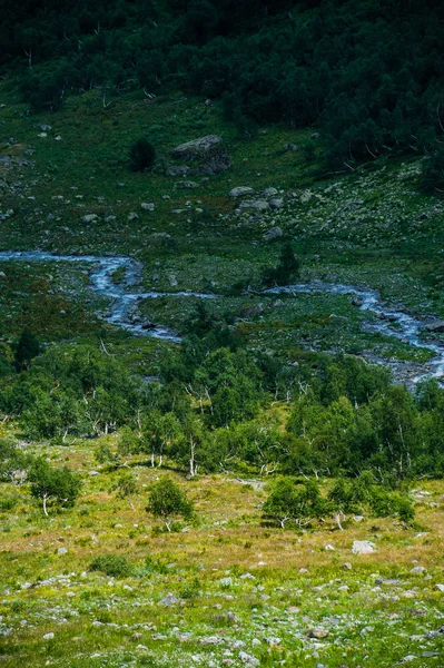 Krajobraz piękne lato w Arkhyz — Zdjęcie stockowe