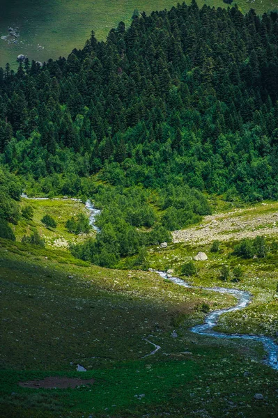 Arkhyz güzel yaz manzarada