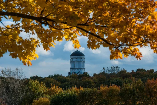 Hermosa, otoño colorida naturaleza brillante en el parque con árboles y arbustos —  Fotos de Stock
