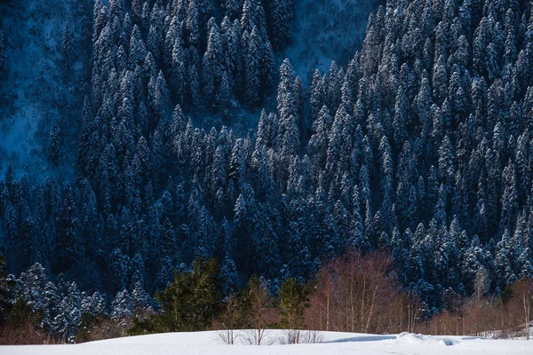 Comprensorio sciistico Dombay, Karachay-Cherkessia, Russia — Foto Stock