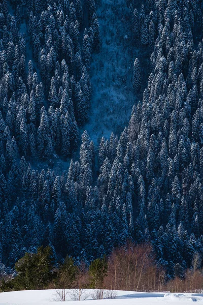 Ski resort Dombay, Karaczajsko-Czerkiesja, Rosja — Zdjęcie stockowe