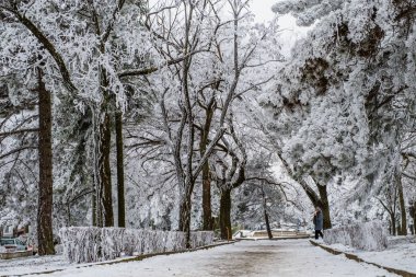 Kış manzara Pyatigorsk, Kuzey Kafkasya, Rusya Federasyonu