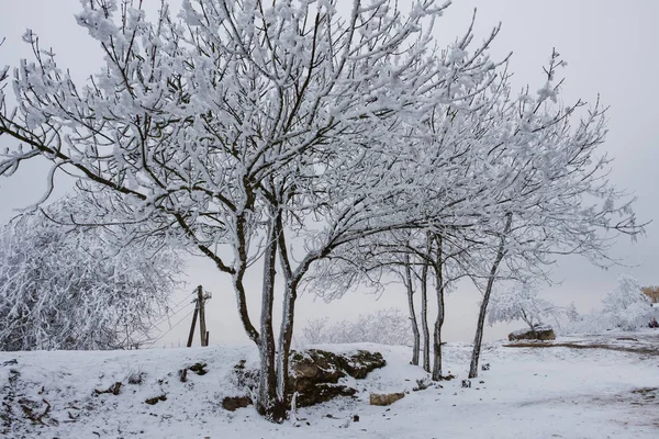 Winter landscape of Pyatigorsk, Northern Caucasus, Russia — Stock Photo, Image