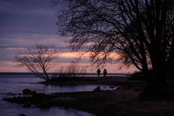 Pantai Teluk Finlandia pada musim dingin saat matahari terbenam di Lakhta, St. Petersburg — Stok Foto