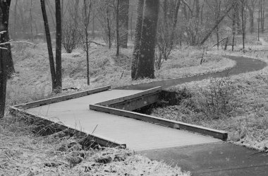 İlk kar altında park