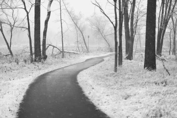 Parque abaixo de uma primeira neve — Fotografia de Stock