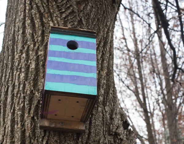 Birdhouse — Stock Photo, Image