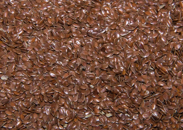 Seeds — Stock Photo, Image