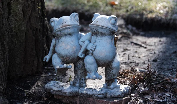 Outside decoration frogs Stock Picture