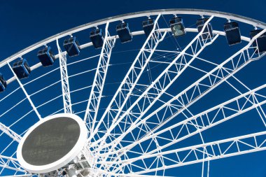 Navy pier dönme dolap