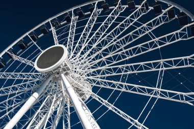 Navy pier dönme dolap