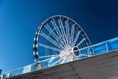 Navy pier dönme dolap