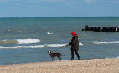 Bir köpeğin üstüne Michigan Gölü Parkı olan adam