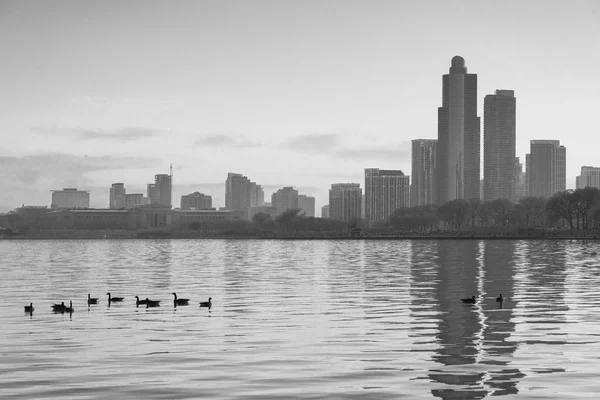 Chicago Skyline — Stockfoto