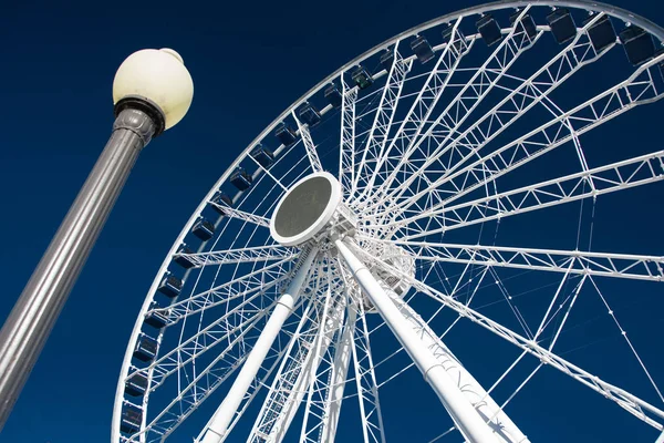 Navy Pier Dönme Dolap — Stok fotoğraf