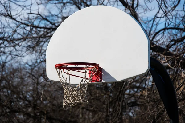 Basketball hoop