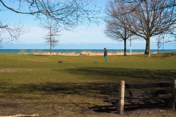 Hombre con un perro en el parque Michigan Lake — Foto de Stock