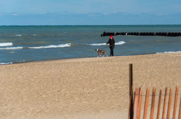Hombre con un perro en el parque Michigan Lake — Foto de Stock