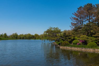 Chicago'da bir Botanik bahçesinde güzel göl