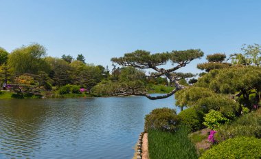 Chicago'da bir Botanik bahçesinde güzel göl
