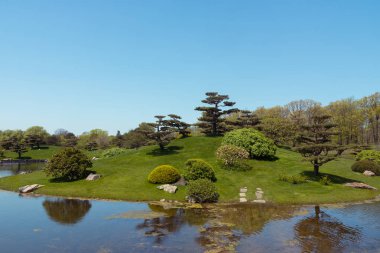Chicago'da bir Botanik bahçesinde güzel göl