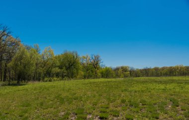 Bulutlu bir günde Chicago banliyölerinde Park 