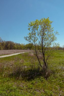 Bulutlu bir günde Chicago banliyölerinde Park 