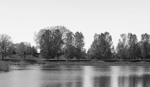 Belo lago em um jardim botânico em Chicago — Fotografia de Stock