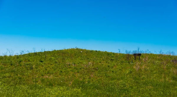 Green hill y un cielo azul en el parque — Foto de Stock