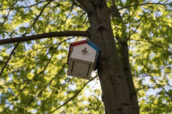 Kleines hölzernes Vogelhaus auf einem Baum im Park — Stockfoto