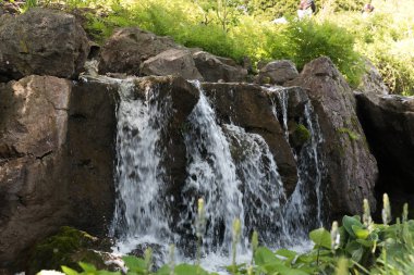 Chicago 'da bir botanik bahçesinin kayalıkları üzerinde şelale