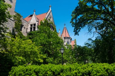 Büyük eski taş duvarda bir sarmaşık ile bina