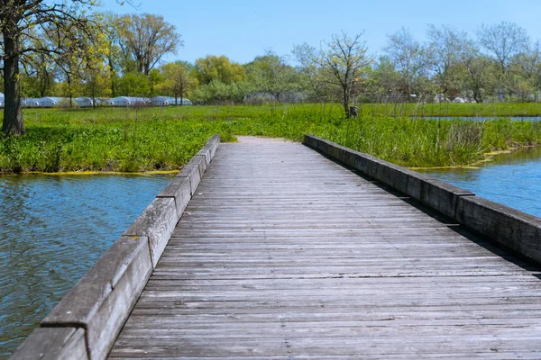 Puente de madera sobre un lago en un jardín botánico — Foto de Stock