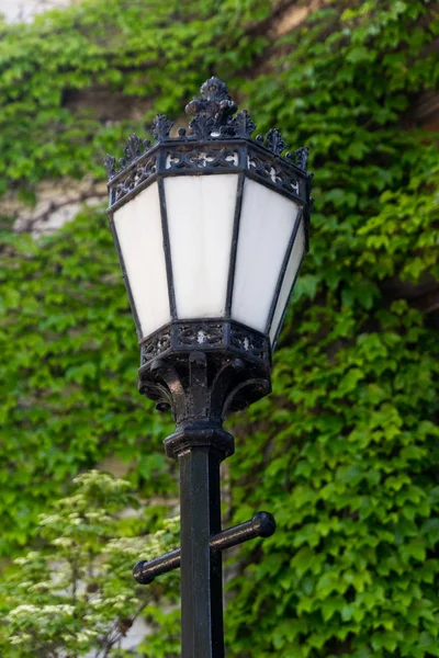 Grande lâmpada de metal preto no parque — Fotografia de Stock