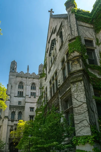 Grande vecchio edificio in pietra con un'edera sul muro — Foto Stock