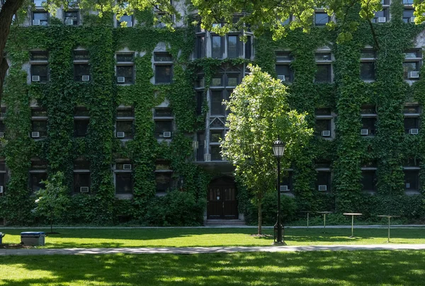 Grand vieux bâtiment en pierre avec un lierre sur le mur — Photo