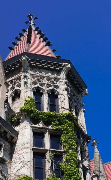 Grand vieux bâtiment en pierre avec un lierre sur le mur — Photo