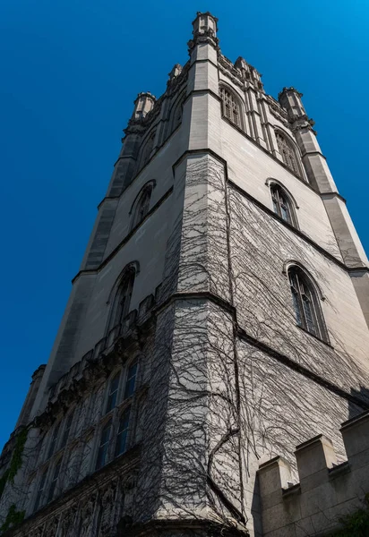 Grande vecchio edificio in pietra con un'edera sul muro — Foto Stock