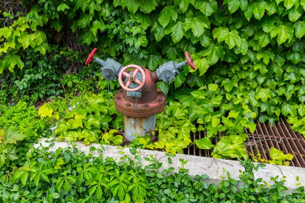 Hidrante de agua de metal en una hierba verde en la pared —  Fotos de Stock