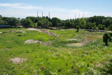 Wisconsin ülke tarafında alanında