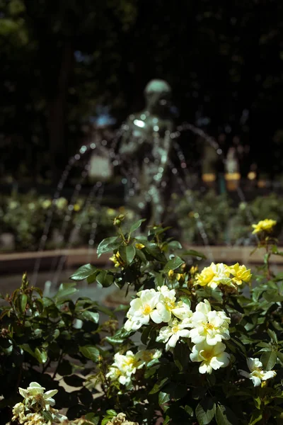 Hermosa flor en un jardín de la ciudad — Foto de Stock