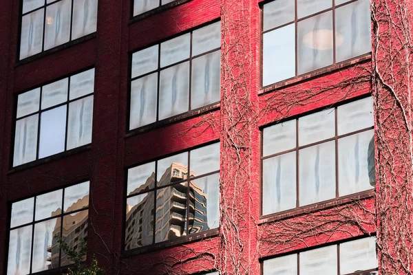 Edificio de pared en una calle en el centro de Chicago —  Fotos de Stock