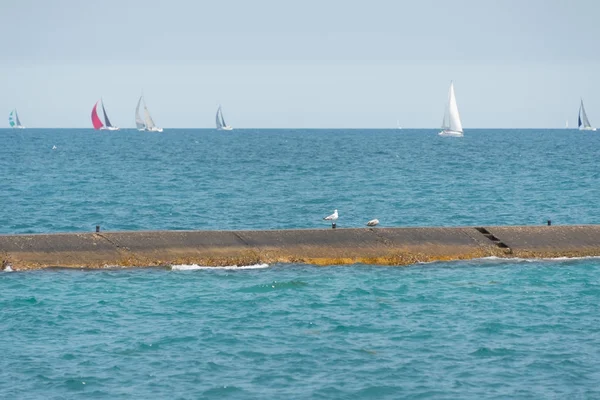 Birçok yelkenli bir Michigan gölünde yelken