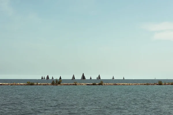 Många segelbåtar seglar i en Michigan laken — Stockfoto