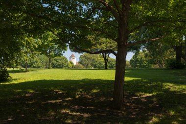 Yeşil çim bir Chicago güneyindeki Parkı