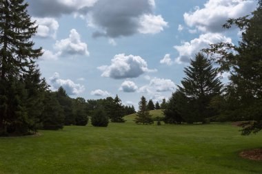 Chicago banliyölerinde bir botanik bahçesi yeşil ağaçların