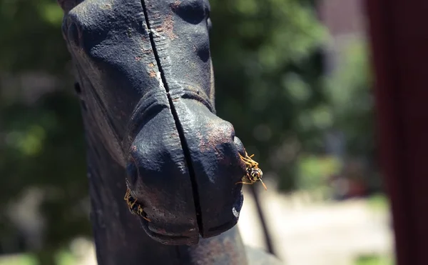 Zwei Wespen sitzen auf einer Pferdestatue — Stockfoto
