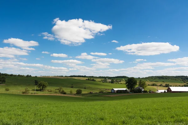 Vue d'un champ dans l'Illinois côté campagne — Photo