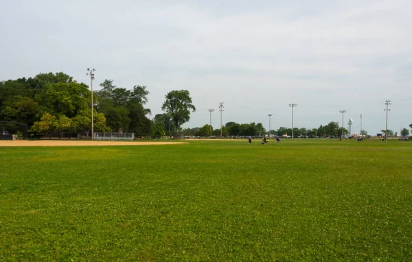 Grama verde em um campo em um parque de Chicago — Fotografia de Stock